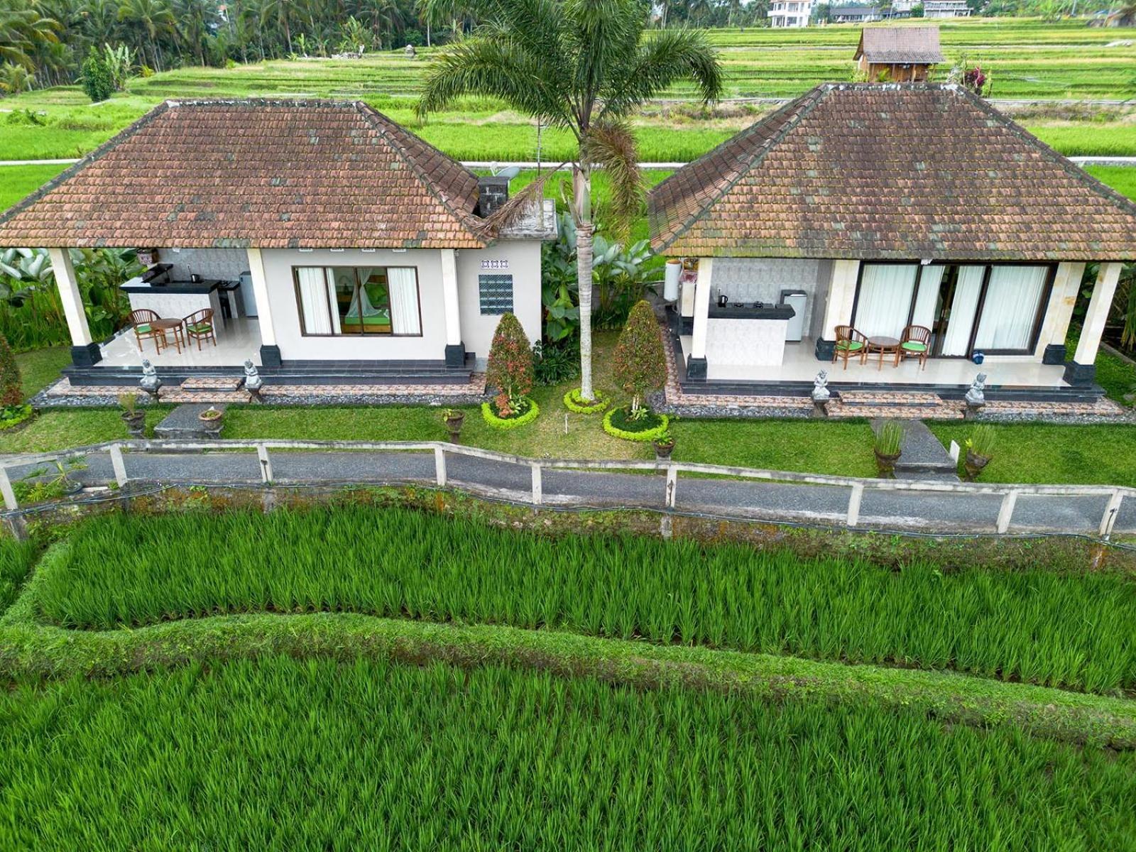Cahaya Ubud